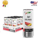 Celsius Live Fit - Watermelon Lemonade
